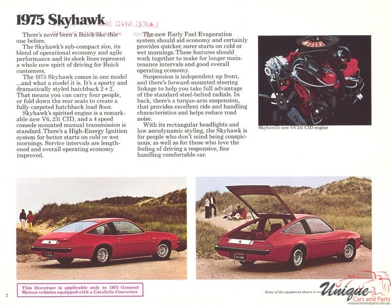 1975 Buick Skyhawk Brochure Page 6